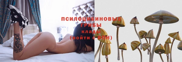 кокс Вяземский