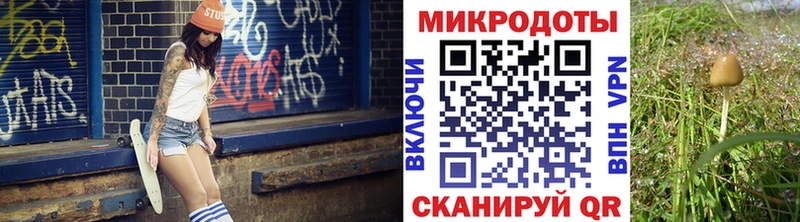 Галлюциногенные грибы Cubensis  мега как войти  Мценск 