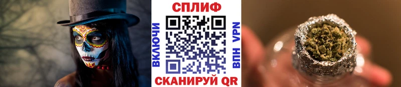 Марихуана план наркошоп Мценск